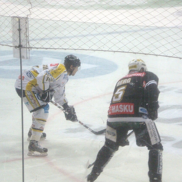 Aki Berg