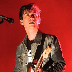 Alex Turner