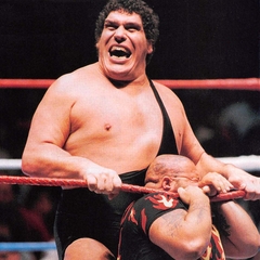 Andre The Giant