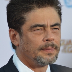 Benicio del Toro