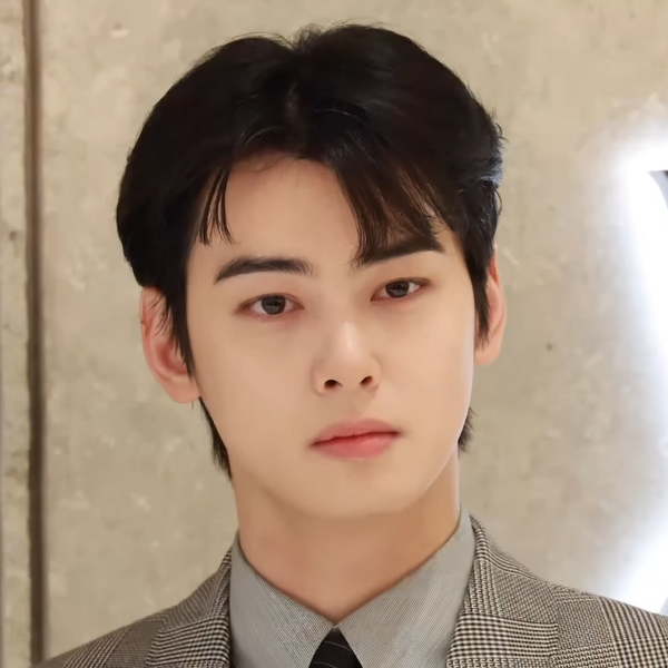 Cha Eun-woo