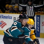 Chris Tierney