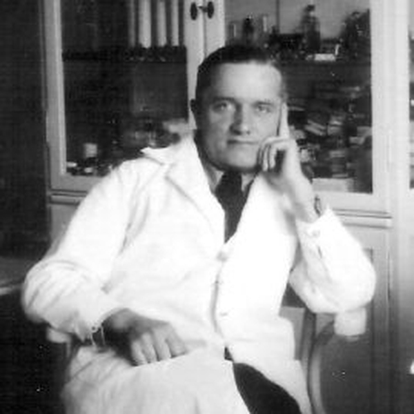 Daniel Bellus