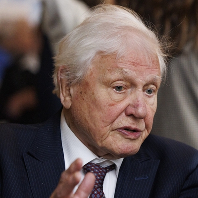 David Attenborough Autograph Profile