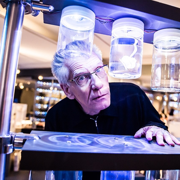 David Cronenberg