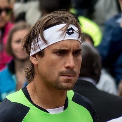 David Ferrer Autograph Profile
