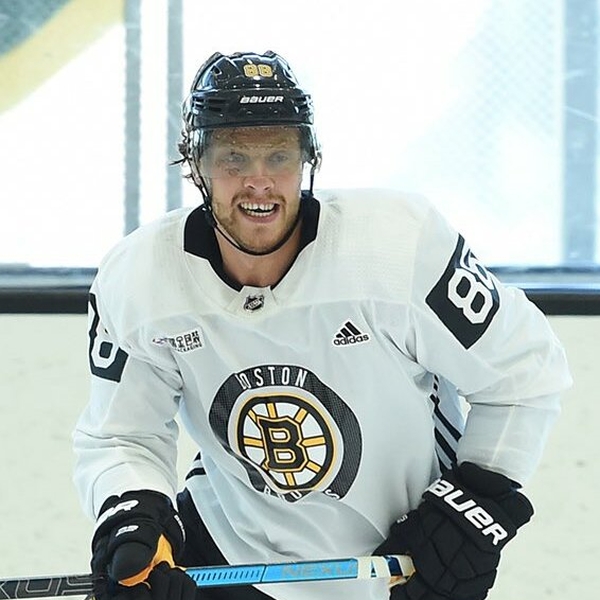 David Pastrňák