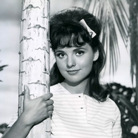 Dawn Wells