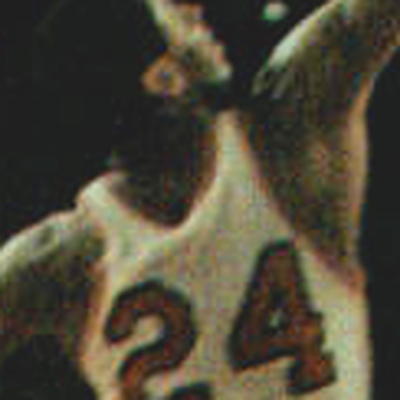 Don Chaney Autograph Profile