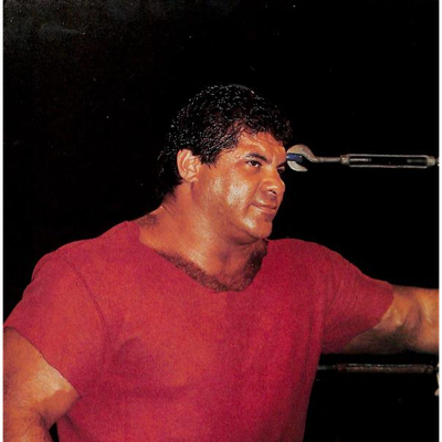 Don Muraco Autograph Profile