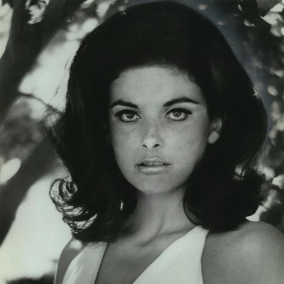 Donna Theodore Autograph Profile