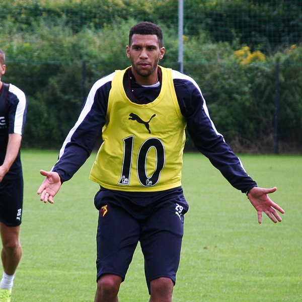 Étienne Capoue