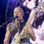 Flea