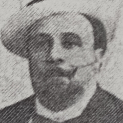 Giovanni Allevi