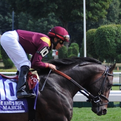 Irad Ortiz Jr Autograph Profile