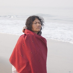 Irom Chanu Sharmila