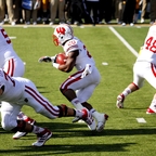 James White