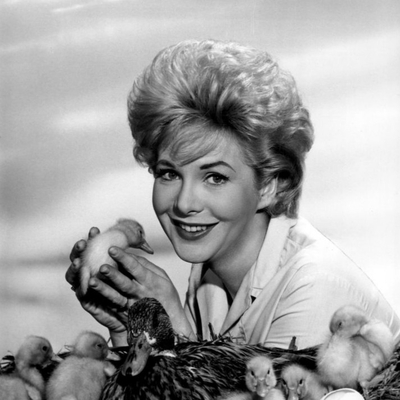Jan Shepard