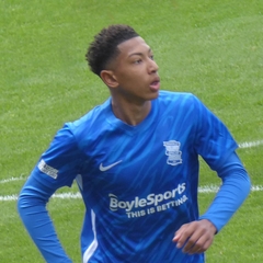 Johan Bellingham