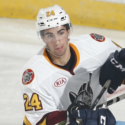 Jordan Schmaltz Autograph Profile