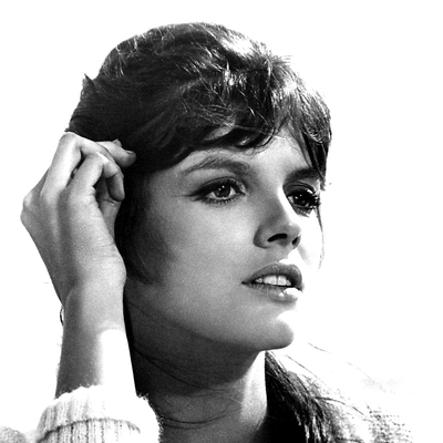 Katharine Ross Autograph Profile