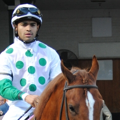 Luis Saez
