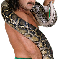 Jake Roberts