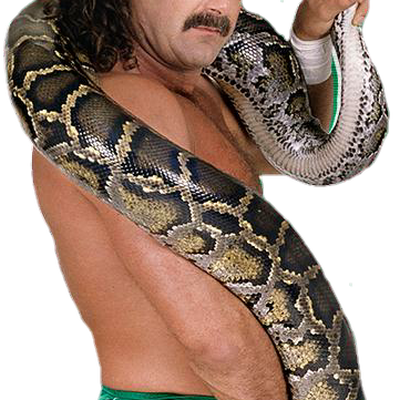 Jake Roberts Autograph Profile