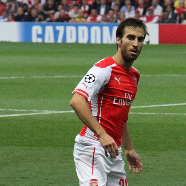 Mathieu Flamini
