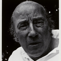 Michel Robin