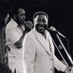 Muddy Waters