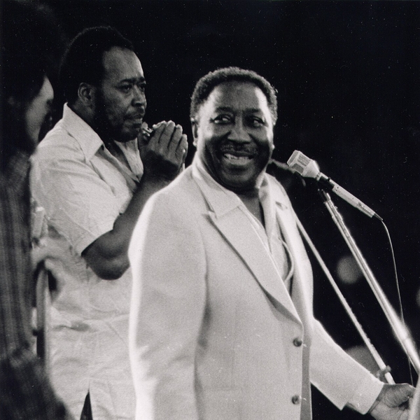 Muddy Waters