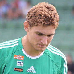 Nikica Jelavić