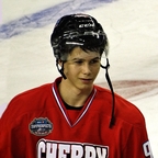 Nikolay Goldobin