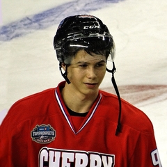Nikolay Goldobin