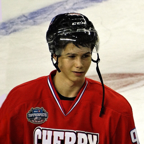 Nikolay Goldobin