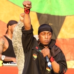 Professor Griff