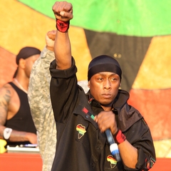 Professor Griff