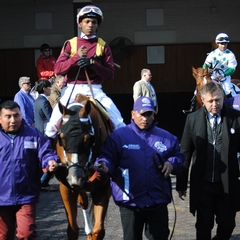 Ricardo Santana Jr