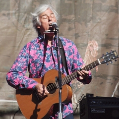 Robyn Hitchcock