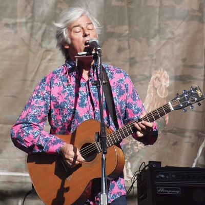 Robyn Hitchcock Autograph Profile