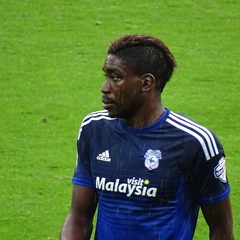 Sammy Ameobi