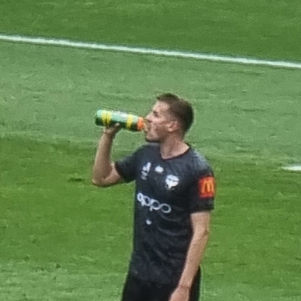 Scott Wootton