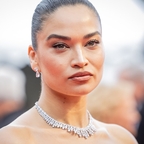 Shanina Shaik