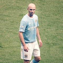 Stephen Ireland