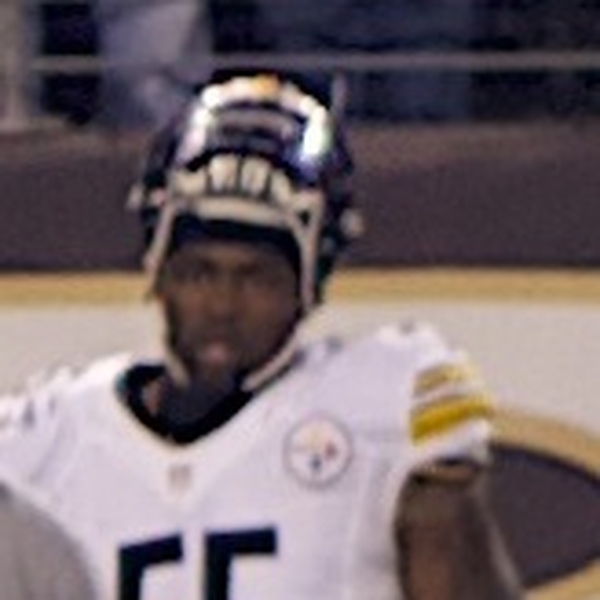 Stevenson Sylvester
