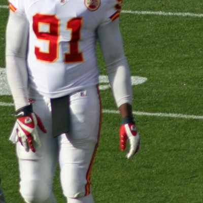 Tamba Hali Autograph Profile