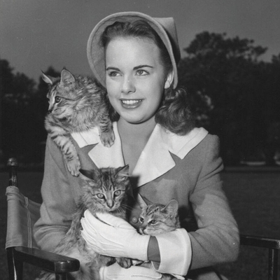 Terry Moore Autograph Profile