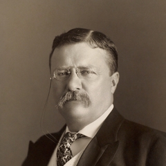 Theodore Roosevelt