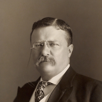 Theodore Roosevelt Autograph Profile